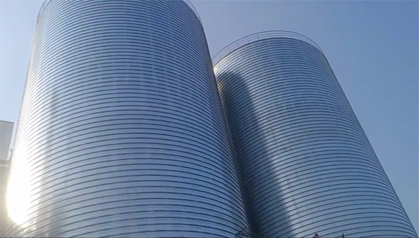 阿拉善2座混凝土高架卷板仓